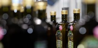 Orgula izgrađuje međunarodnu prisutnost i potvrđuje liderstvo na hrvatskom tržištu