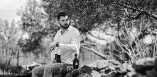 Hrvatsko maslinovo ulje Cultus osvojilo zlato na najprestižnijem svjetskom natjecanju u New Yorku – već pri prvom nastupu