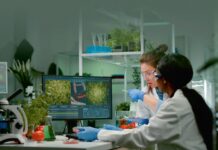 Proizvodi na bazi bilja: Spoj inovacije, održivosti i odgovornog poslovanja