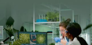 Proizvodi na bazi bilja: Spoj inovacije, održivosti i odgovornog poslovanja