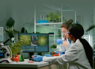 Proizvodi na bazi bilja: Spoj inovacije, održivosti i odgovornog poslovanja