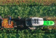 Arivera Fruit – novo ime i vizualni identitet kompanije Enna Fruit