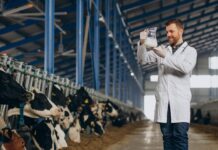 Proizvodnja mlijeka na obiteljskim gospodarstvima porasla za 1,7 posto