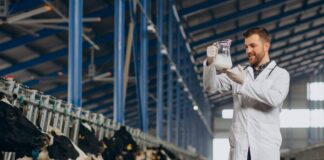 Proizvodnja mlijeka na obiteljskim gospodarstvima porasla za 1,7 posto