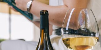 Vinarija Orahovica i Martin Albus – različiti karakteri, ista strast prema izvrsnosti