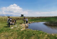 Natječaj {ZAJEDNO} za zelene ideje: U provedbu 18 ekoloških projekata dm uložio više od 74.000 eura