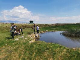 Natječaj {ZAJEDNO} za zelene ideje: U provedbu 18 ekoloških projekata dm uložio više od 74.000 eura