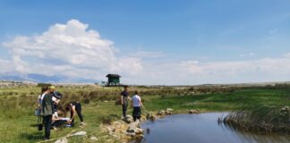 Natječaj {ZAJEDNO} za zelene ideje: U provedbu 18 ekoloških projekata dm uložio više od 74.000 eura