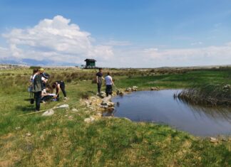 Natječaj {ZAJEDNO} za zelene ideje: U provedbu 18 ekoloških projekata dm uložio više od 74.000 eura