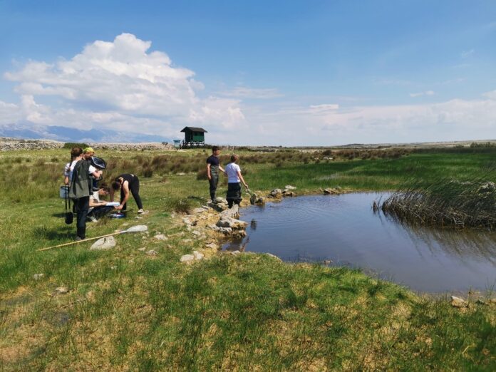 Udruga studenata biologije - Bius