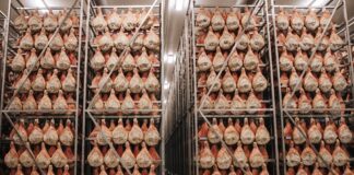 Mesna industrija DOBRO, u sklopu Žito grupe, pustila u proizvodnju svoj milijunti pršut