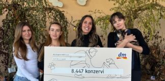 Donacijom 3,4 tone hrane dm nastavlja pružati podršku udrugama i skloništima za nezbrinute i napuštene životinje