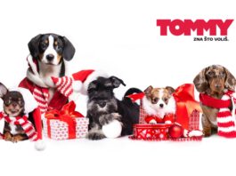 Tommy ni ove godine ne prodaje pirotehniku