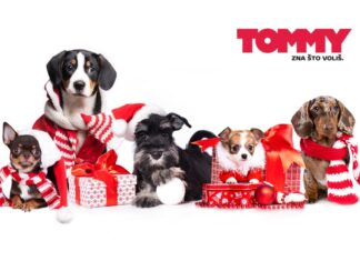 Tommy ni ove godine ne prodaje pirotehniku