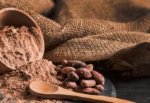 Kiša pomogla nasadima kakaovca u Obali Bjelokosti