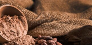 Kiša pomogla nasadima kakaovca u Obali Bjelokosti