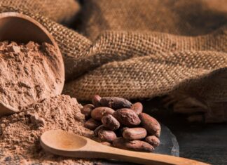 Kiša pomogla nasadima kakaovca u Obali Bjelokosti