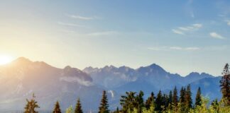 Osvježivači prostora: Omogućuju personalizirane mirise i stvaranje željenog ugođaja