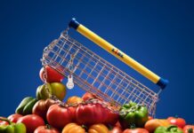 Lidl predstavlja ‘Trolley Bag’ u drugoj suradnji s dizajnerom Nikom Bentelom