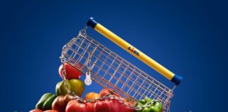 Lidl predstavlja ‘Trolley Bag’ u drugoj suradnji s dizajnerom Nikom Bentelom