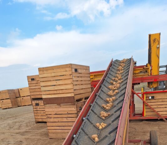 Podravka Agri postaje jedan od najvećih proizvođača krumpira u Hrvatskoj