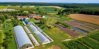 Zrno eko imanje postaje regionalno središte edukacije o profitabilnoj ekološkoj poljoprivredi