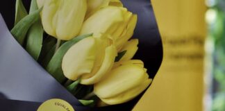 JTI: Jednaka plaća za jednaki rad