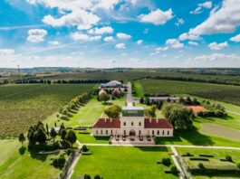 Iločki podrumi d.d. dobili novog vlasnika