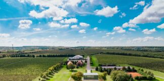 Iločki podrumi d.d. dobili novog vlasnika