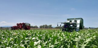 Hrvatski duhani ugovorili novu proizvodnu sezonu