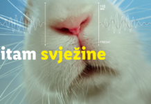 ‘Ritam svježine’: Lidl testira svježinu kroz kreativnu kampanju na društvenim mrežama