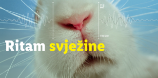 ‘Ritam svježine’: Lidl testira svježinu kroz kreativnu kampanju na društvenim mrežama