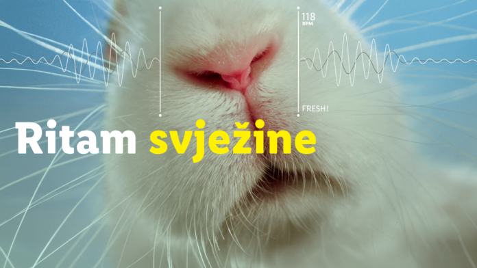 Ritam svježine - Lidl testira svježinu kroz kreativnu kampanju na društvenim mrežama