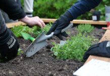 Zašto stručnjaci potiču povratak sezonskoj prehrani?