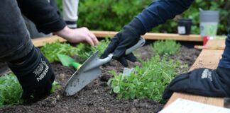 Zašto stručnjaci potiču povratak sezonskoj prehrani?