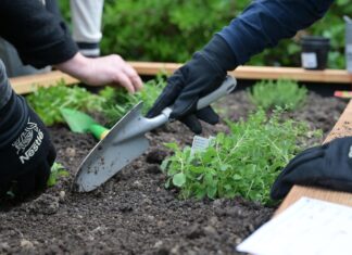 Zašto stručnjaci potiču povratak sezonskoj prehrani?