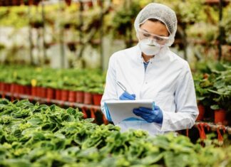 Poremećaji u tranzitu kroz Hormuz nose teške posljedice za proizvodnju hrane