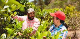 International Coffee Partners: 25 godina podrške obiteljima i zajednicama koje se bave uzgojem kave