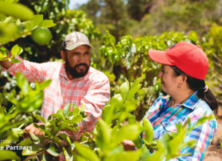 International Coffee Partners: 25 godina podrške obiteljima i zajednicama koje se bave uzgojem kave