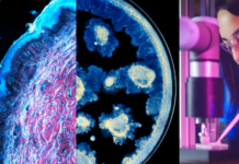 Partnerstvo L’Oréal Grupe i Instituta Pasteur mijenja budućnost znanosti o koži