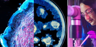 Partnerstvo L’Oréal Grupe i Instituta Pasteur mijenja budućnost znanosti o koži