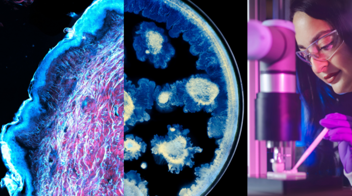 L'Oréal x Institut Pasteur - ©L'OREAL