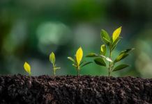 #PlantHealth4Life kampanja – jednostavnim koracima do zaštite bilja