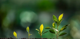 #PlantHealth4Life kampanja – jednostavnim koracima do zaštite bilja
