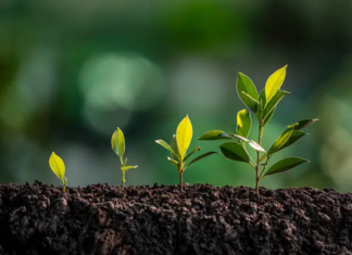 #PlantHealth4Life kampanja – jednostavnim koracima do zaštite bilja