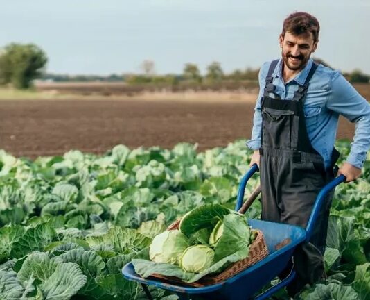 Razvoj i izazovi ekološke poljoprivrede u Hrvatskoj