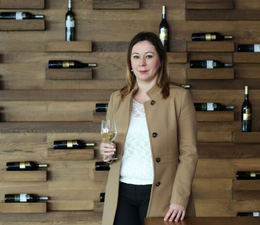 Vina Belje zasadila nove vinograde u Baranji